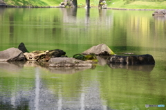 小石川後楽園１