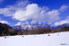 雪の少ない正月