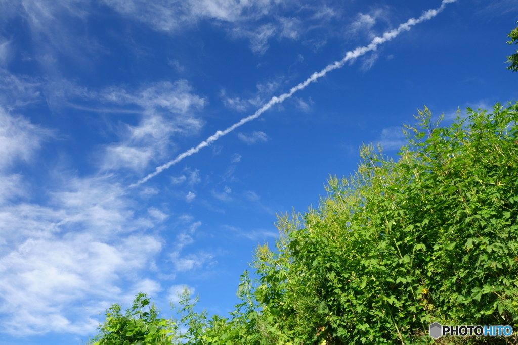 飛行機雲