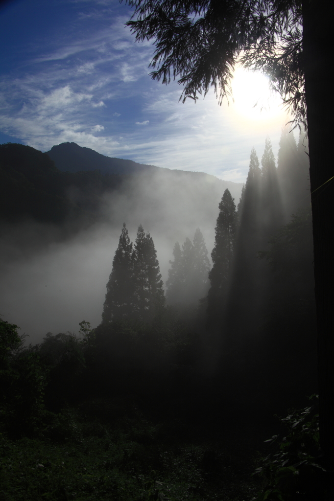 虫倉山・朝