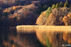 野尻湖晩秋