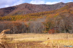 紅葉風景　5