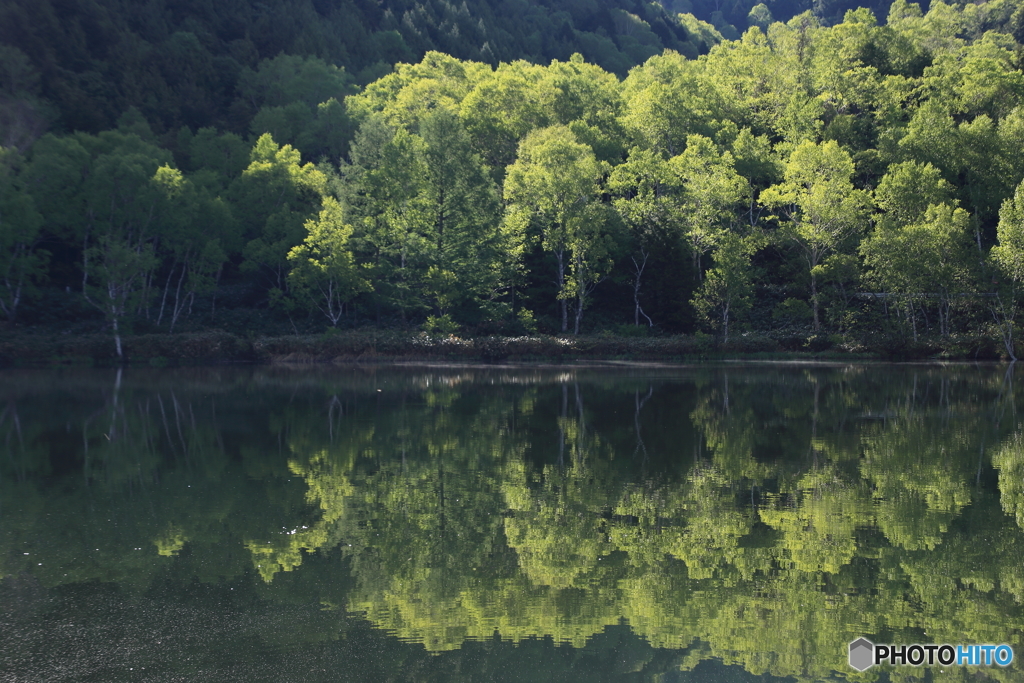 木戸池朝景