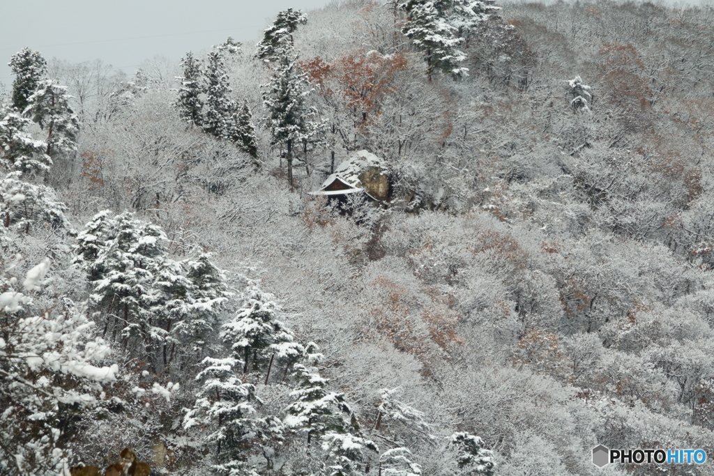 雪景