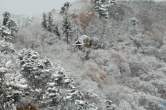 雪景