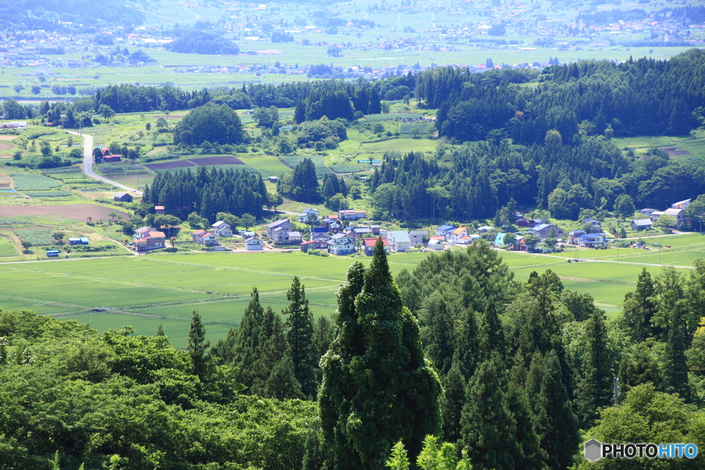 夏の田園