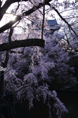 真田の城