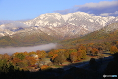 笹ヶ峰高原