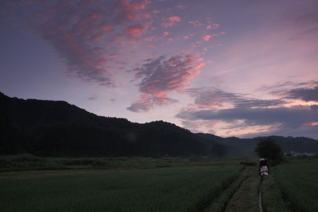 田園の夜明け