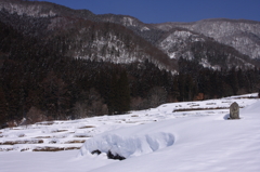 棚田がある風景