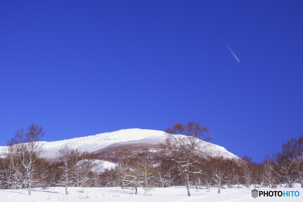 冬景拾遺　