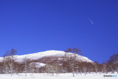 冬景拾遺　