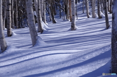 雪の影　その１