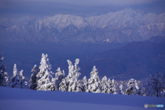 雪の降る前