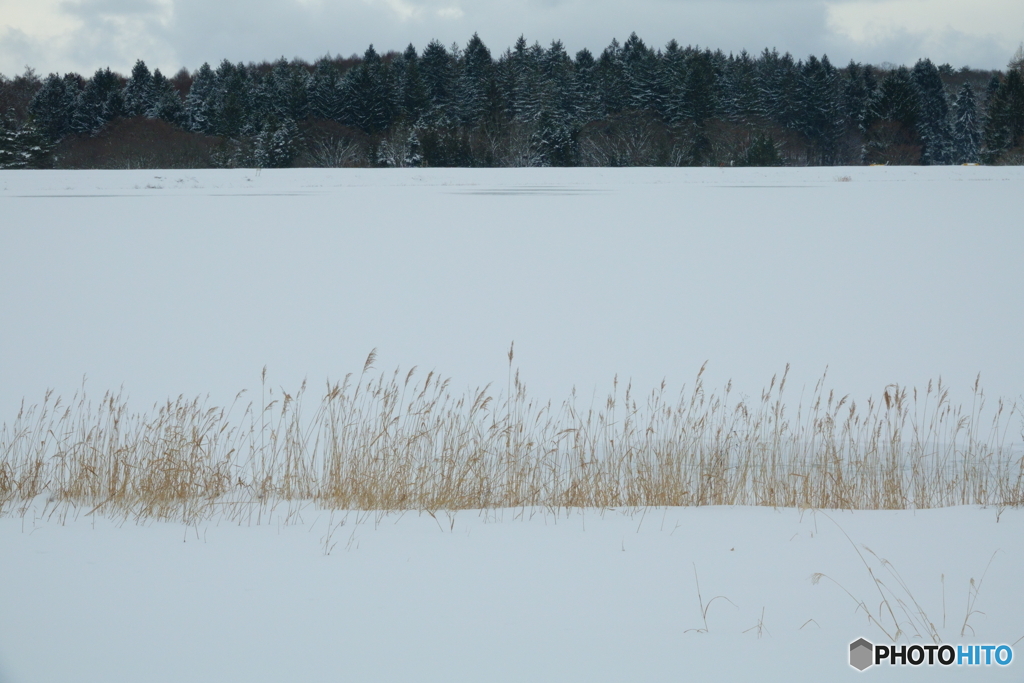 みんなどこへ行った