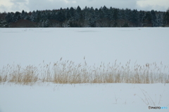 みんなどこへ行った