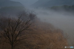 濁流