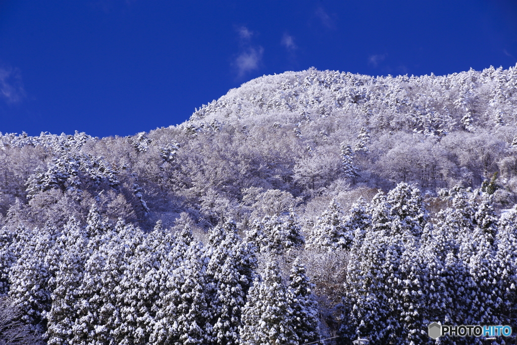 雪の朝(あした)