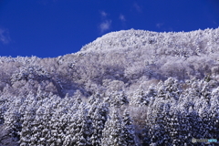 雪の朝(あした)