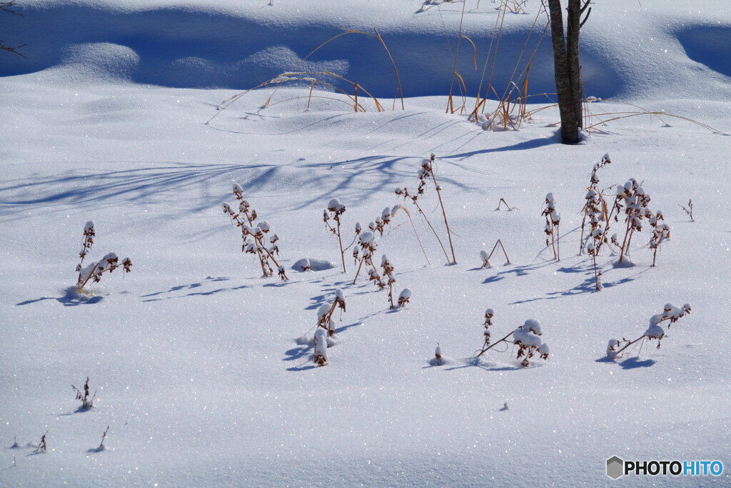 堅雪かんこ、しみ雪しんこ