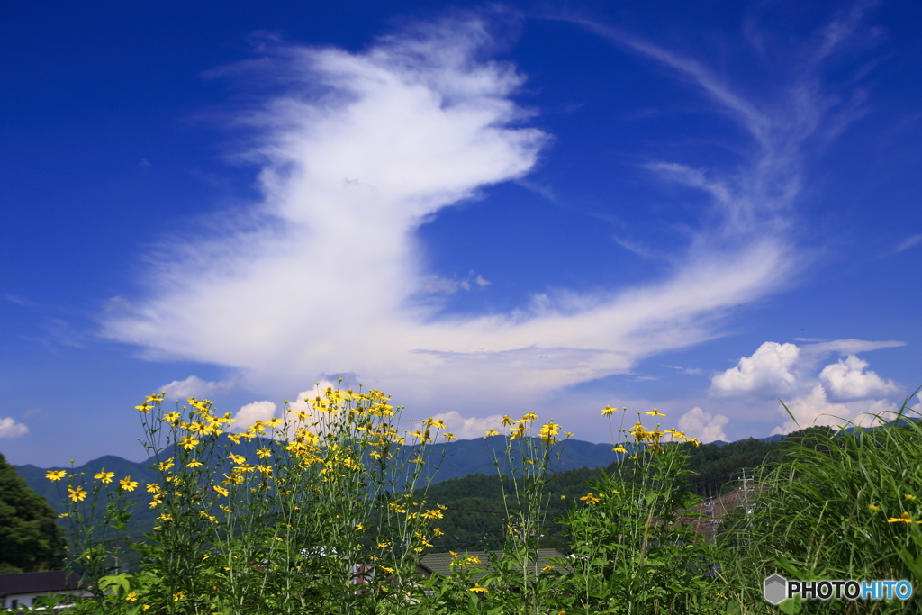 雲よ