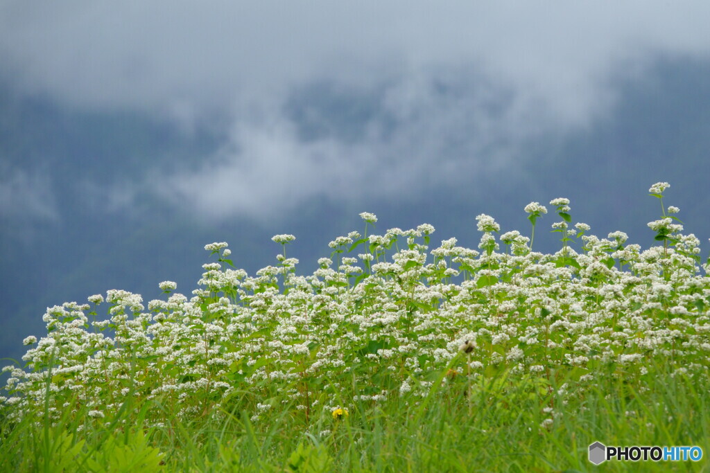 梅雨空