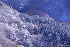 雪になるといいなぁ