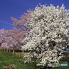 公園にて