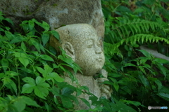 天に祈る