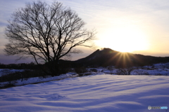 たまには夕景