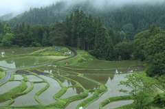 梅雨入り