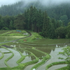 梅雨入り