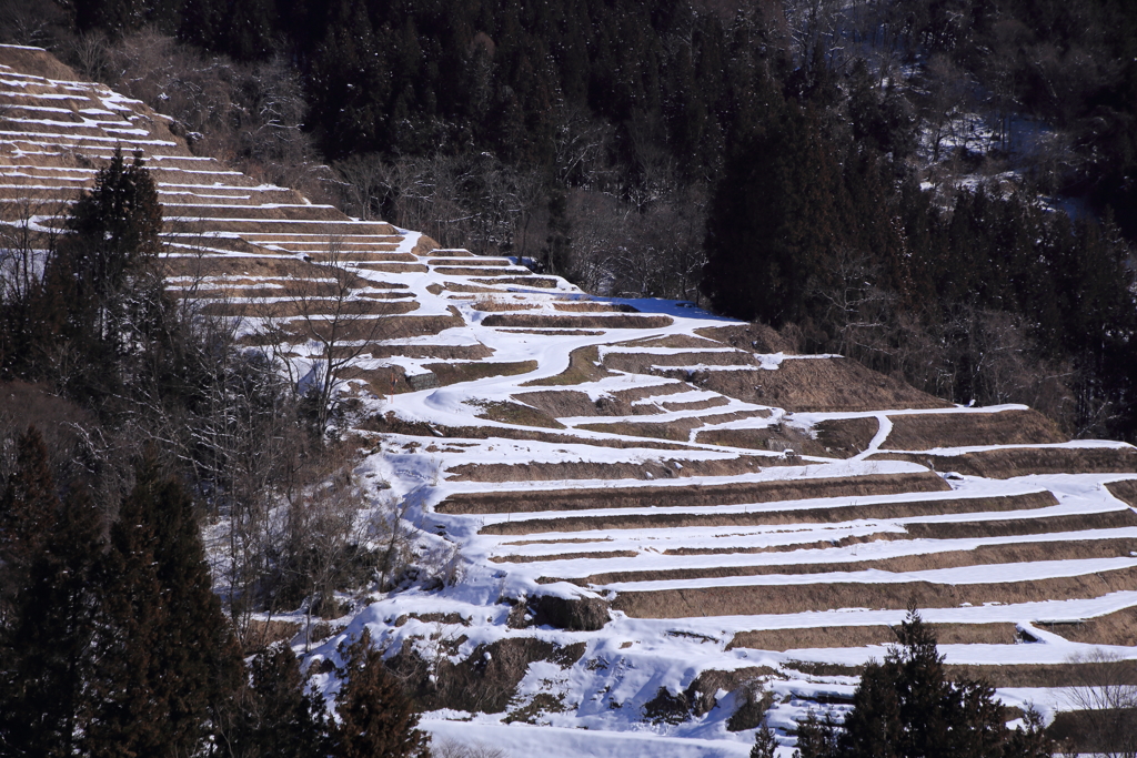 田毎の雪