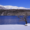 青木湖の青