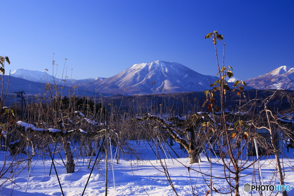 飯縄山