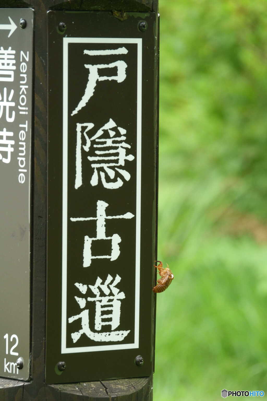 戸隠古道