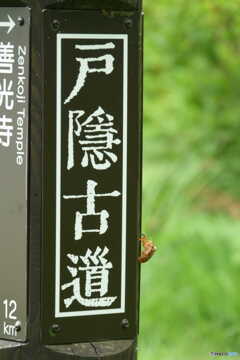 戸隠古道