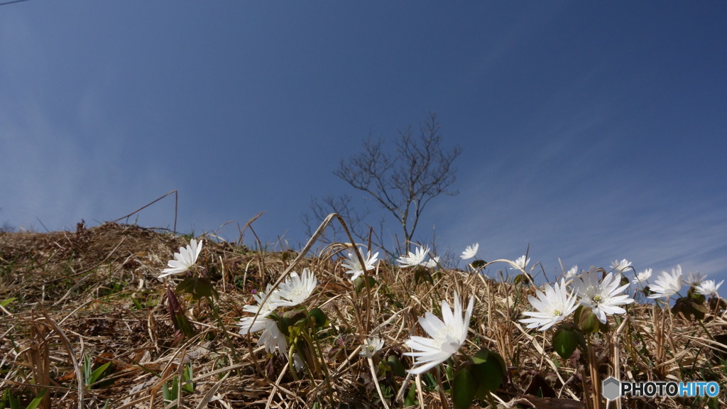 思わぬところで