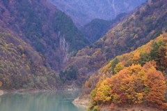 ダム湖の秋