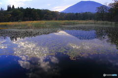 秋の池めぐり　17