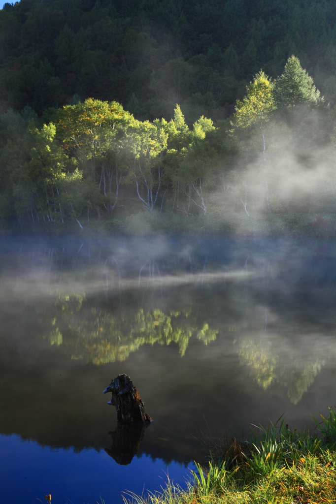 志賀高原紅葉情報2　朝陽差す