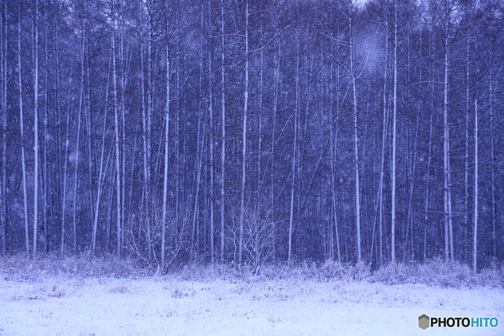 雪降りの景