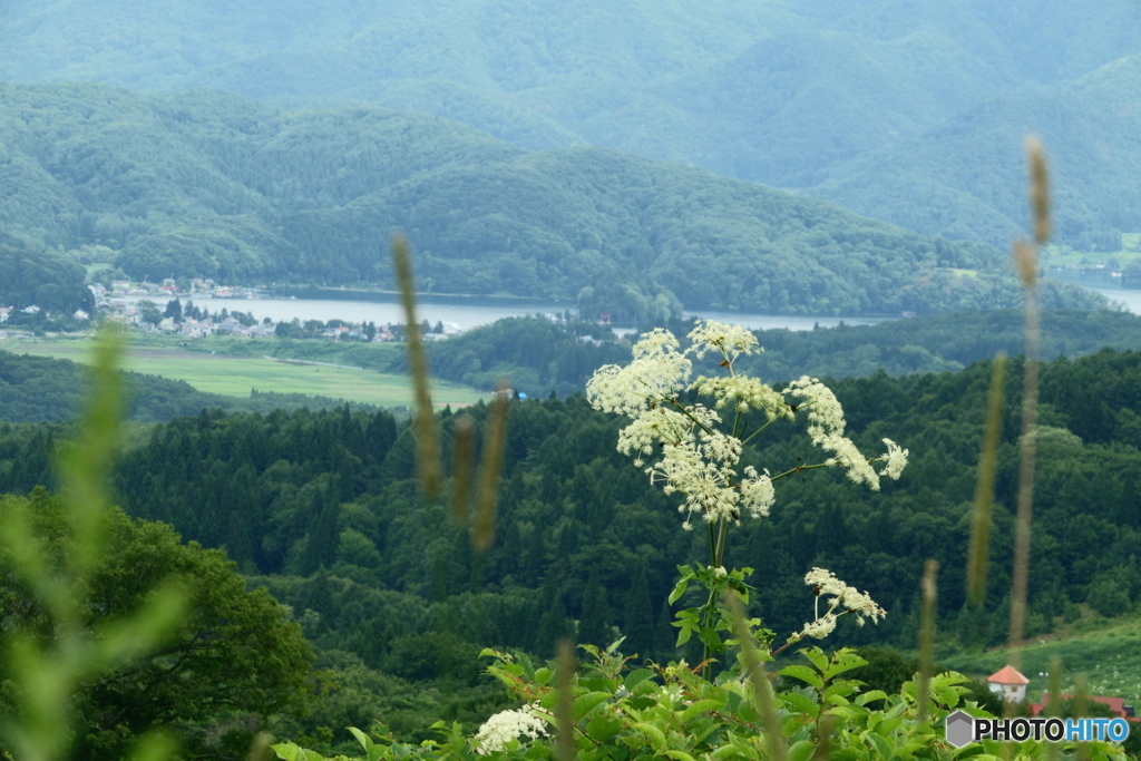 野尻湖遠望