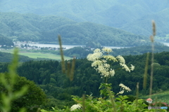 野尻湖遠望