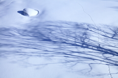 雪のカンバス