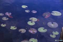 休息