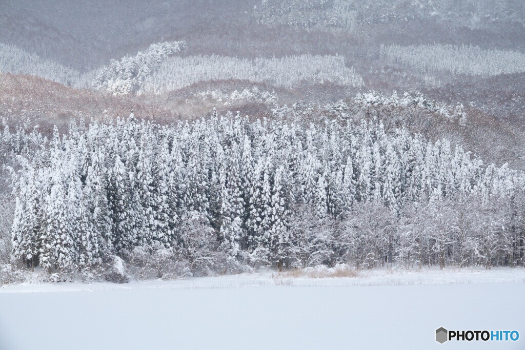 なんにもないけど