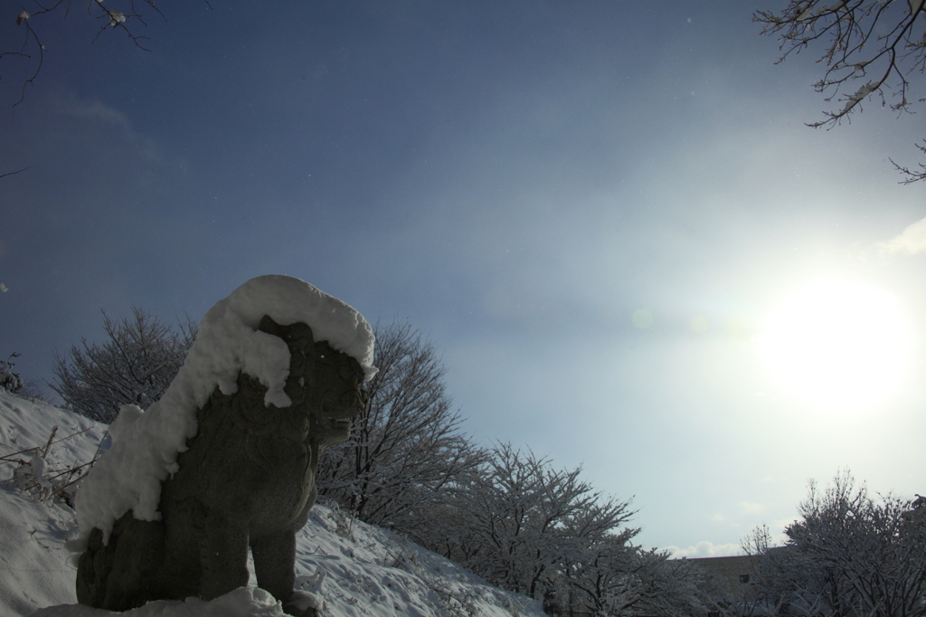 雪のたてがみ