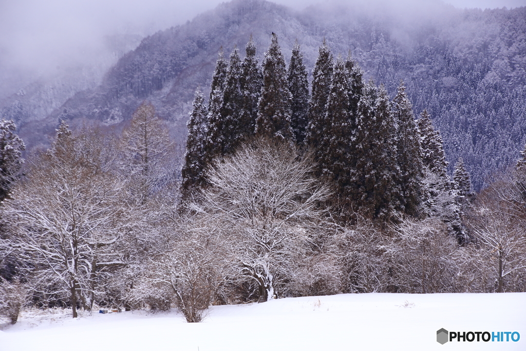 ハザードランプ