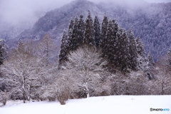 ハザードランプ